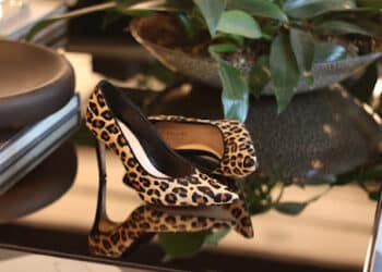 A marca Di Pollini, lança no mercado sua linha feminina, a Di Pollini Donna. A Di Pollini Donna foi desenvolvida para a mulher moderna que busca estar na moda com conforto e elegância .