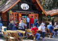 CAFÉ NO BOSQUE!
