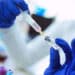 Funed recebe mais de 3 milhões de doses de vacina contra meningite C 50 Funed recebe mais de 3 milhões de doses de vacina contra meningite C