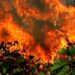 Em 13 dias, queimadas na Amazônia já superam total do fogo de outubro de 2019
