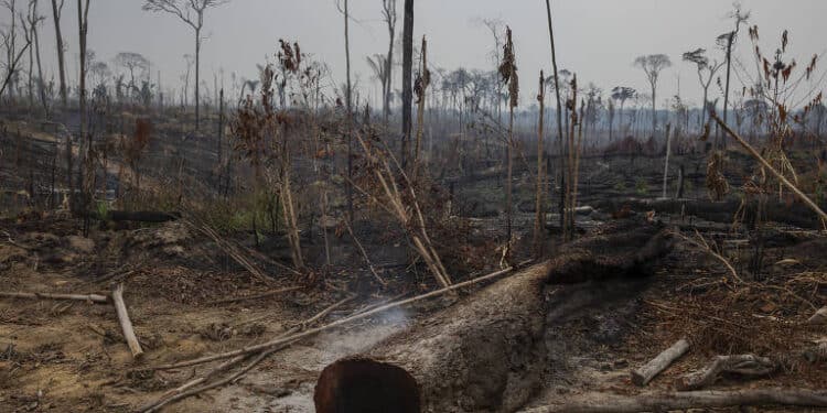 Crise climática e desmatamento da Amazônia podem deixar 11 milhões de brasileiros sob calor intenso