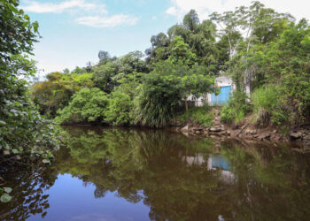 Justiça obriga Sabesp a impedir despejo de esgoto em rios no litoral norte
