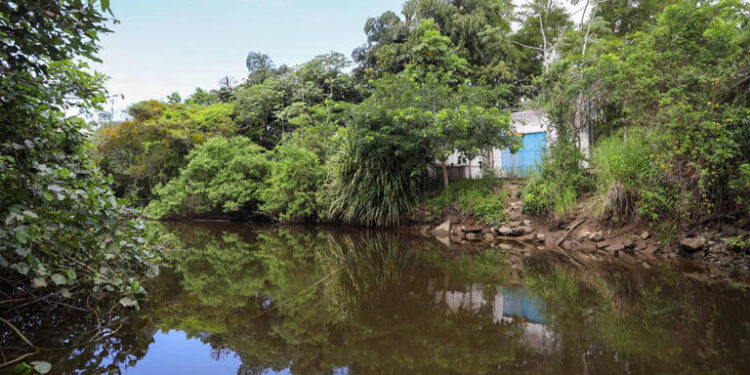 Justiça obriga Sabesp a impedir despejo de esgoto em rios no litoral norte 45 Justiça obriga Sabesp a impedir despejo de esgoto em rios no litoral norte