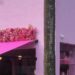 Com visual pink e estilo moderno, L’amour Bistrot faz sucesso na Califórnia Brasileira