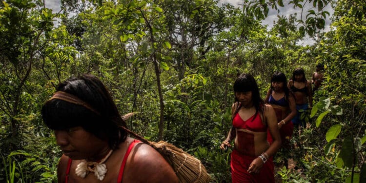 Amazônia perdeu 18 árvores por segundo em 2021, e desmate subiu 20% no país