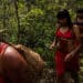 Amazônia perdeu 18 árvores por segundo em 2021, e desmate subiu 20% no país