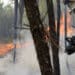 Mais de mil mortes são registradas na Europa em onda de calor
