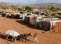 Tigray: Rebeldes negam normalização da situação e chegada de ajuda humanitária