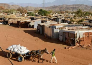 Tigray: Rebeldes negam normalização da situação e chegada de ajuda humanitária
