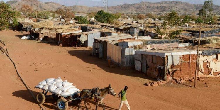 Tigray: Rebeldes negam normalização da situação e chegada de ajuda humanitária