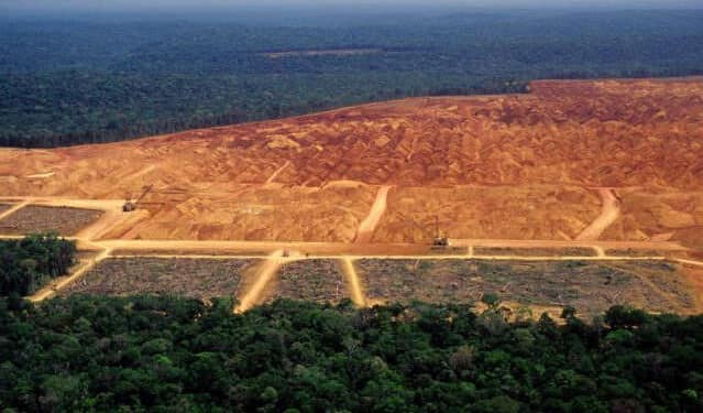 Entenda por que o Brasil virou alvo da lei aprovada na Europa contra o desmatamento