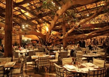 Figueira Rubaiyat, um dos mais belos restaurantes de São Paulo!