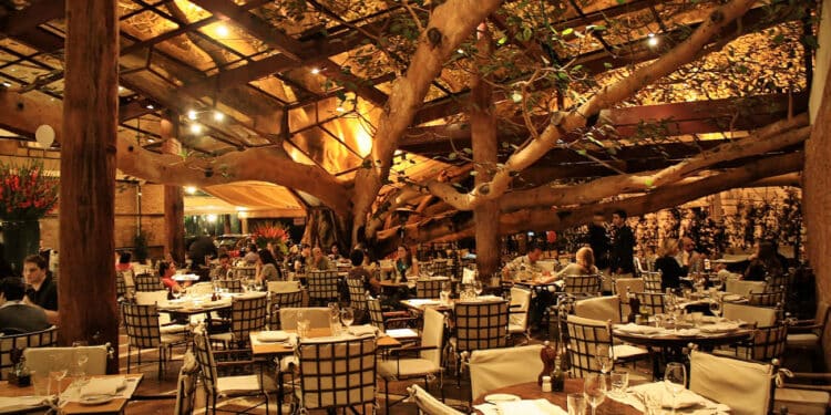 Figueira Rubaiyat, um dos mais belos restaurantes de São Paulo!