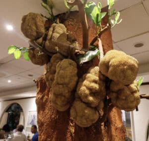 Via Castelli, desde 1977 a casa italiana mais tradicional do Higienópolis. 48 4D538FA9 DCCA 4439 A53B 96A0BC73DE1E
