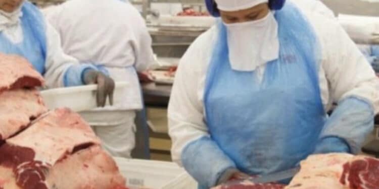 Brasil suspende exportações de carne bovina à China com confirmação de caso de vaca louca 45 Brasil suspende exportações de carne bovina à China com confirmação de caso de vaca louca