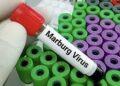 Vírus de Marburg, um dos mais letais do mundo, tem surto confirmado pela OMS
