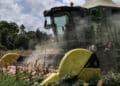 Brasil, prestes a se tornar o maior exportador de milho do mundo