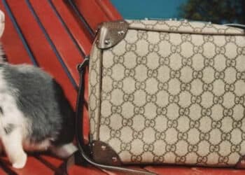 Gucci Décor: uma visita à nova loja do CJ Shops com os itens exclusivos de decoração