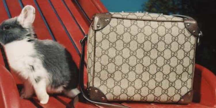 Gucci Décor: uma visita à nova loja do CJ Shops com os itens exclusivos de decoração 45 Gucci Décor: uma visita à nova loja do CJ Shops com os itens exclusivos de decoração