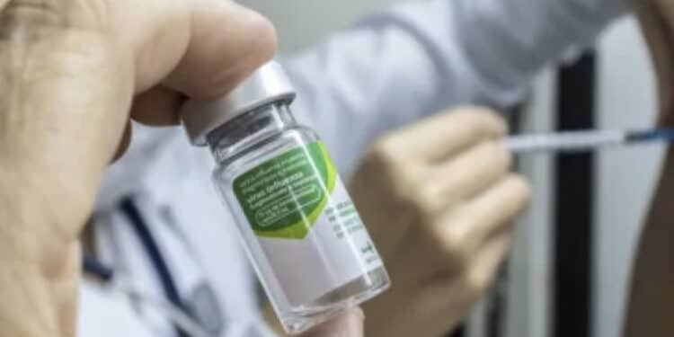 Campanha de vacinação contra gripe termina nesta quarta (31); veja 5 motivos para se imunizar