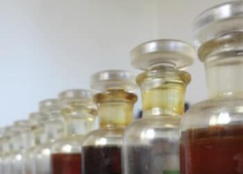 Substância usada no perfume Chanel nº5 vem da Amazônia