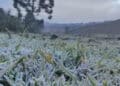 Semana começa com frio e geada na região Sul