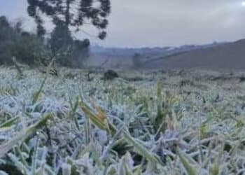 Semana começa com frio e geada na região Sul
