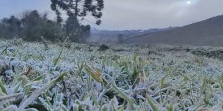 Semana começa com frio e geada na região Sul 45 Semana começa com frio e geada na região Sul