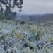 Semana começa com frio e geada na região Sul