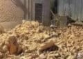 Terremoto no Marrocos deixa 1.037 mortos; tremor é o mais letal do país desde 1960