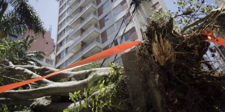 Enel descumpre prazo, e 11 mil imóveis seguem sem luz na Grande SP