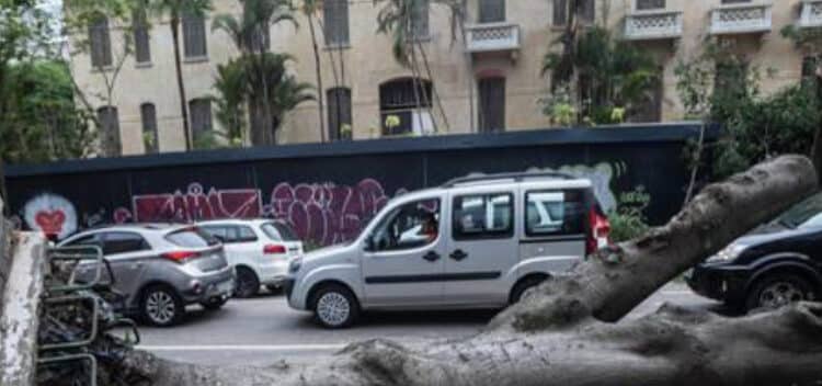 Risco de temporal em SP: Defesa Civil alerta para ventania de até 100 km/h; veja quando 45 Risco de temporal em SP: Defesa Civil alerta para ventania de até 100 km/h; veja quando