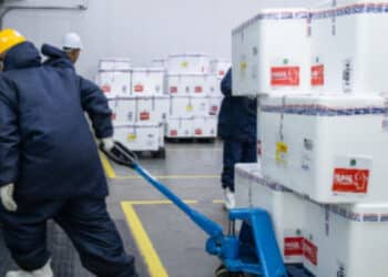 Ministério da Saúde inicia distribuição de vacinas contra dengue