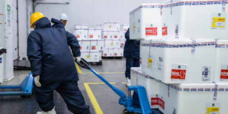 Ministério da Saúde inicia distribuição de vacinas contra dengue
