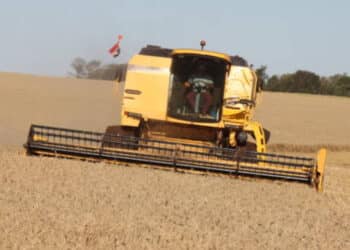 Maior pagador de impostos do Paraguai, brasileiro líder do agro no país critica governo Lula