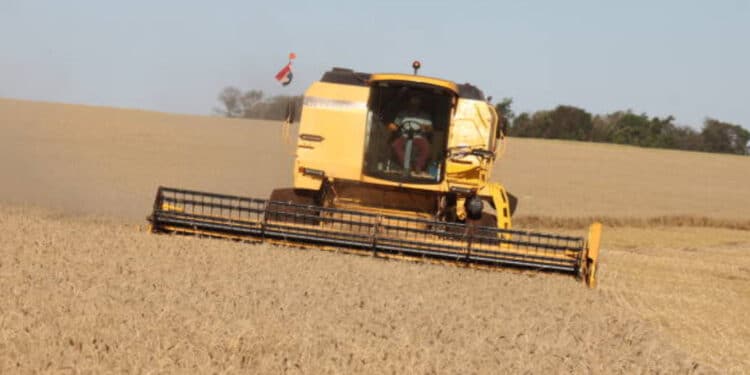 Maior pagador de impostos do Paraguai, brasileiro líder do agro no país critica governo Lula