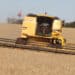 Maior pagador de impostos do Paraguai, brasileiro líder do agro no país critica governo Lula