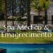 Spa Med: O Pioneiro do Emagrecimento Saudável em São Paulo.