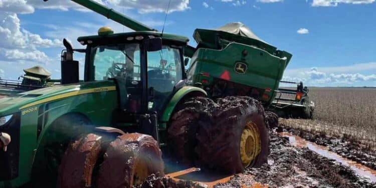 Agro ameaça o PIB e a balança comercial; saiba os motivos 45 Agro ameaça o PIB e a balança comercial; saiba os motivos