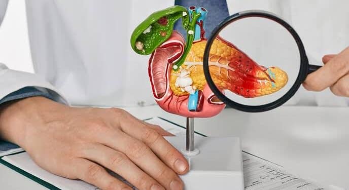 A Epidemia Silenciosa: Como os Alimentos Industrializados Estão Adoecendo a Sociedade