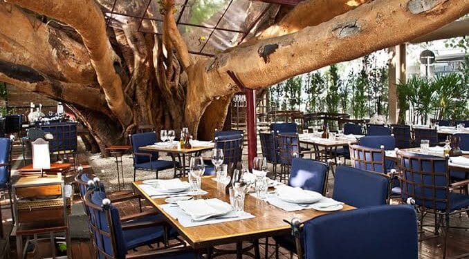 Restaurante A Figueira Rubaiyat Prepara Comemoração Especial para o Dia dos Pais. 45 Restaurante A Figueira Rubaiyat Prepara Comemoração Especial para o Dia dos Pais.