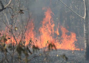 “Fumaça de incêndios no Brasil segue em direção ao sul da África”