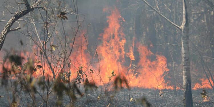 "Fumaça de incêndios no Brasil segue em direção ao sul da África" 45 “Fumaça de incêndios no Brasil segue em direção ao sul da África”