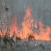 "Fumaça de incêndios no Brasil segue em direção ao sul da África" 54 “Fumaça de incêndios no Brasil segue em direção ao sul da África”