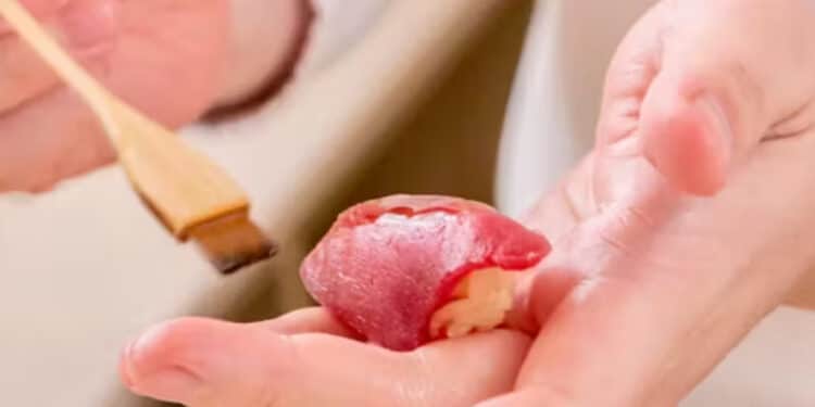 Descobrindo o Refúgio Gastronômico Japonês em São Paulo: Kanoe