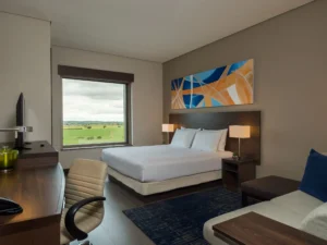 IMG 8510