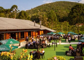 Descubra o Alto da Brasa: Uma Sinfonia de Sabores na Montanha Mágica de Campos do Jordão.