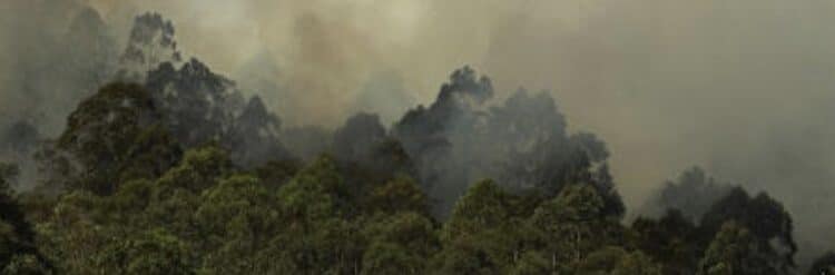 Brasil registra níveis ‘altíssimos’ de gás nocivo à saúde em meio a incêndios; veja efeitos