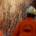 Governo libera R$514 mil em crédito extraordinário para combate a incêndios