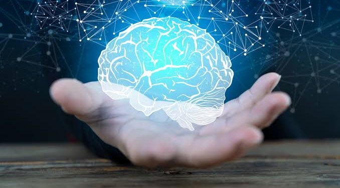 A Organização Mundial da Saúde (OMS) destaca que o transtorno mental afeta quase um bilhão de pessoas